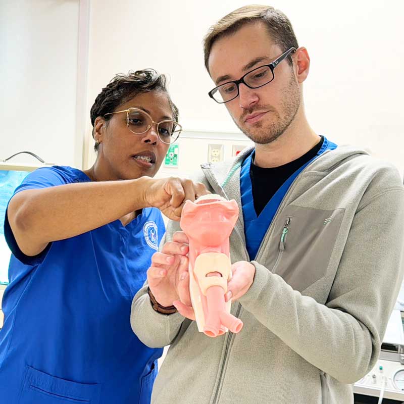 respiratory care professional