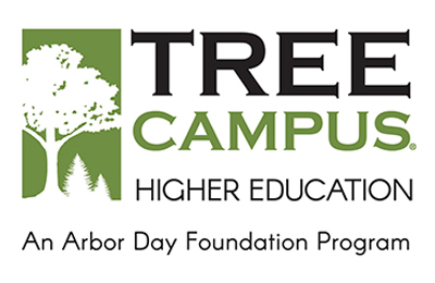 Tree Campus link