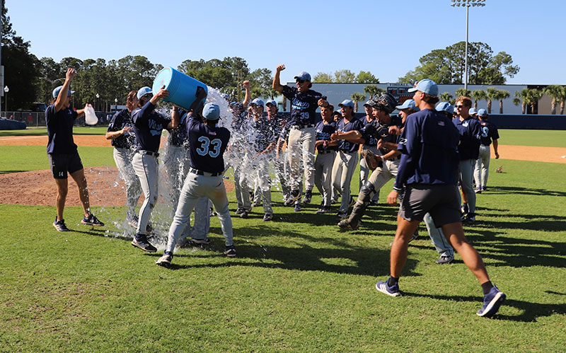 baseball celebration